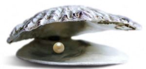 Fără foc nu iese fum – Perle Bac 2014